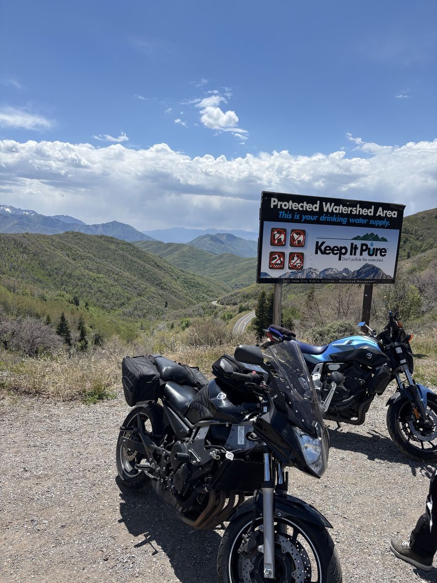 2009 Yamaha fz6r