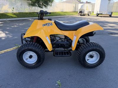 E-Ton Impuls TXL-50