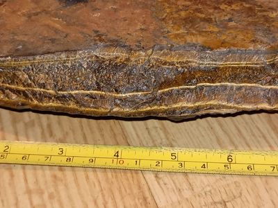 3 pound piece of tiger eye