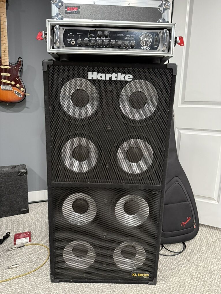 SWR Working Pro 700 W/Hartke 810xl Bass Cab