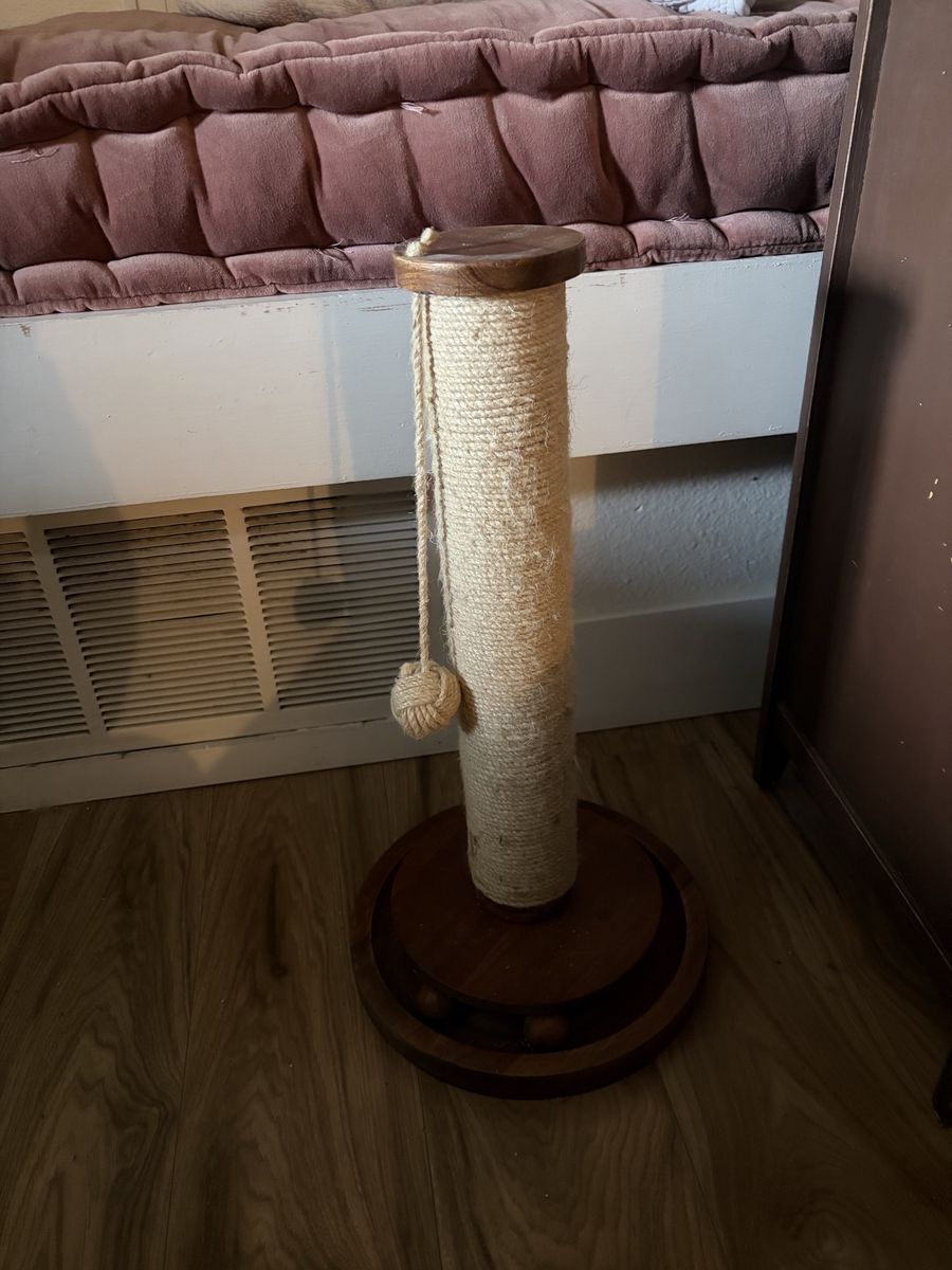 NEW Cat Scratcher!