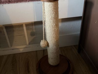 NEW Cat Scratcher!