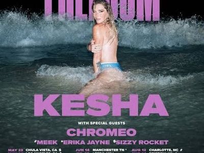 1 lawn ticket $20