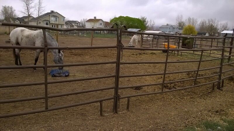 ISO Wilson or Hooper Water Share - Wanted to buy