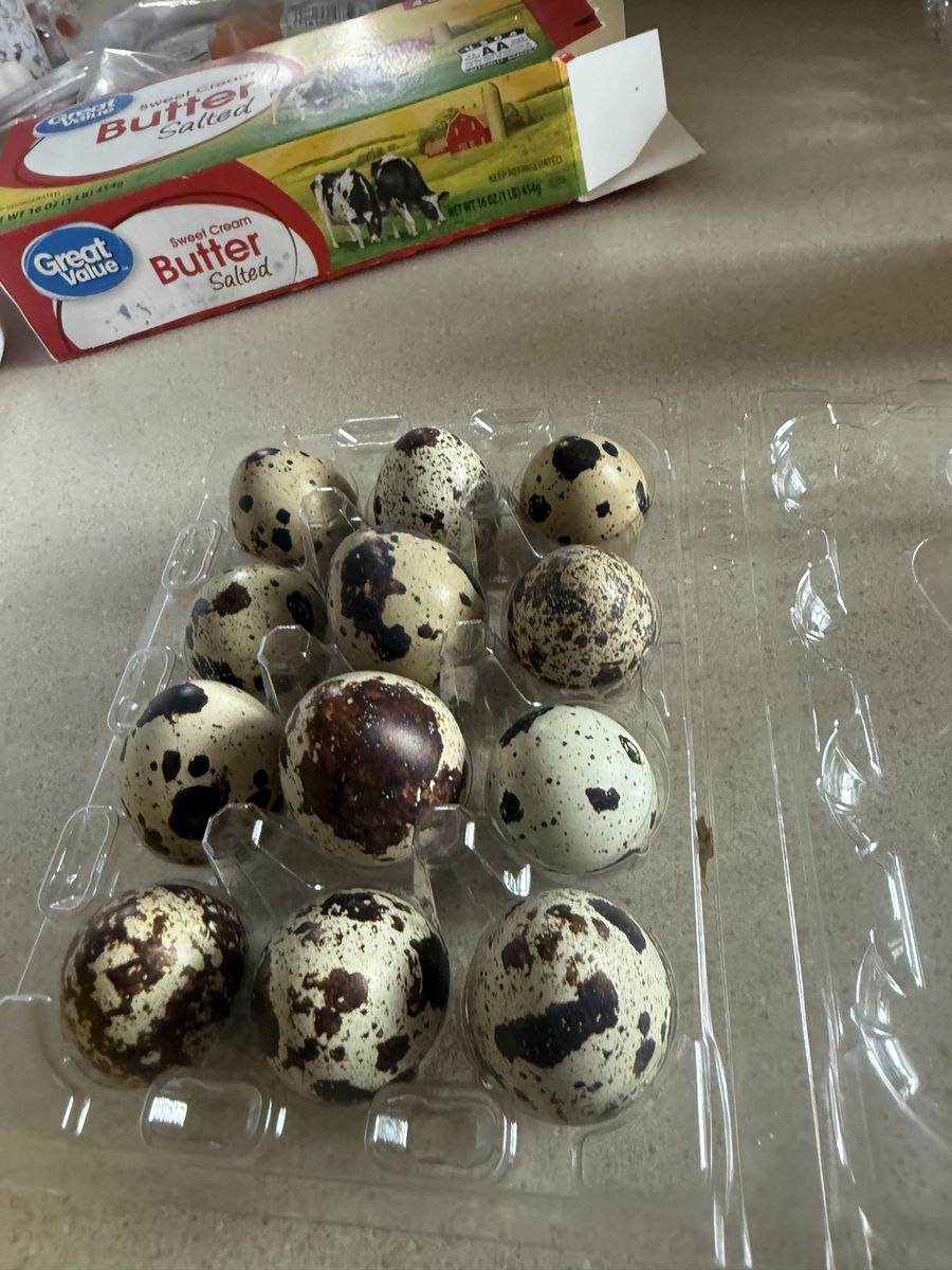 eggs