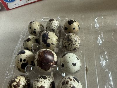 eggs