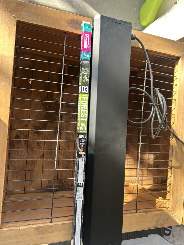 Zoomed lamp/UVB bulb