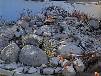 rocks