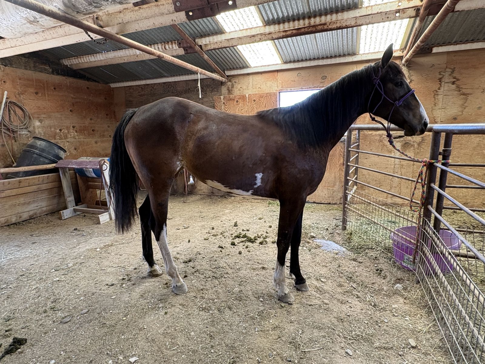 2024 APHA MARE
