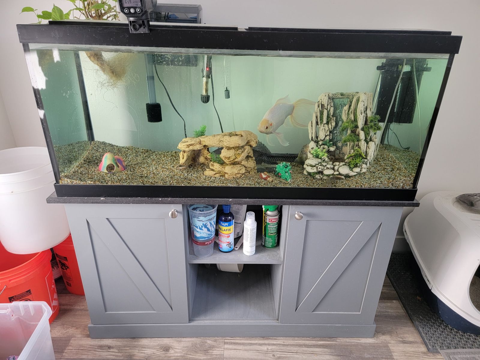 Big  Tank and Big  Fish