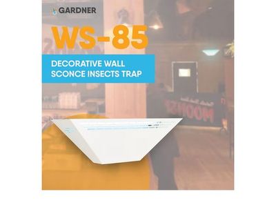 Insect Light Trap Sconce