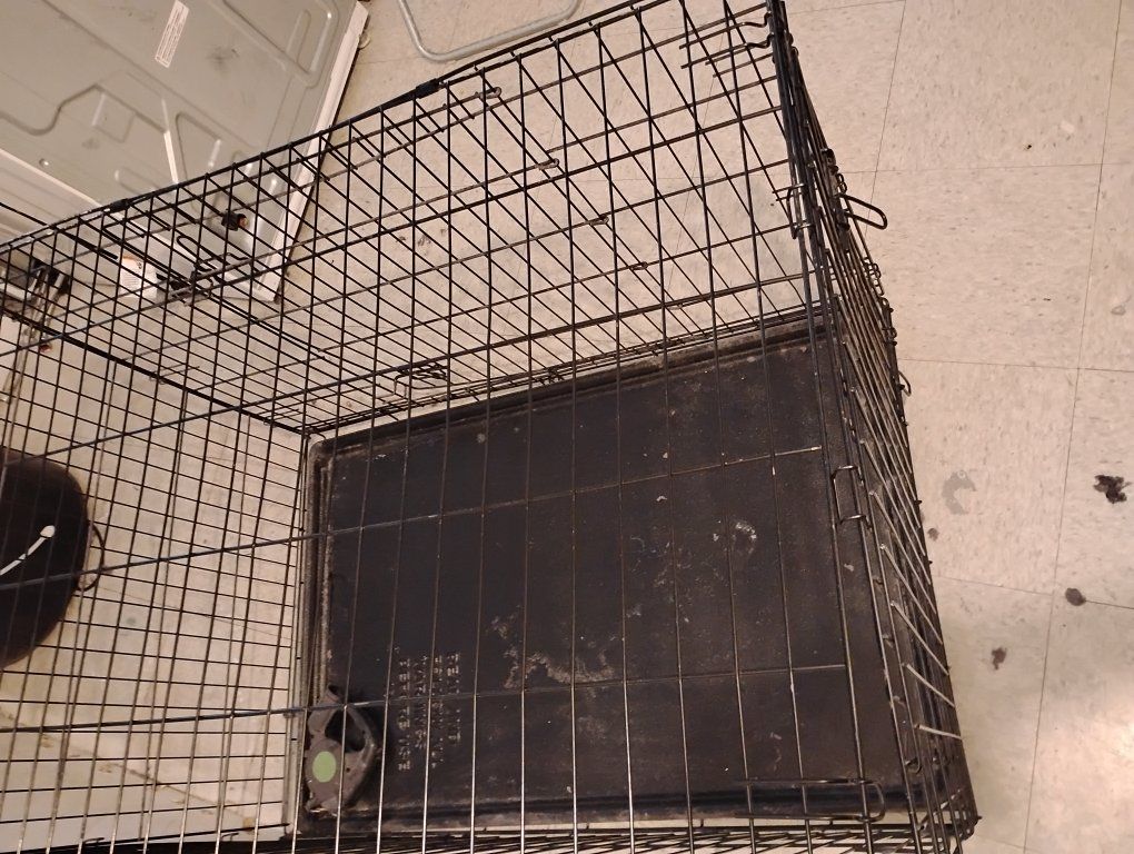 Pet crate Cage Great shape