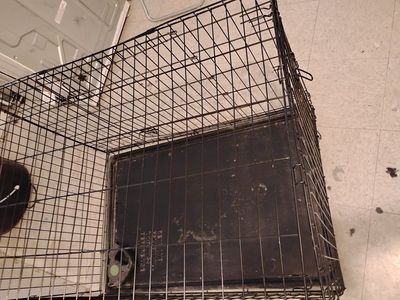 Pet crate Cage Great shape