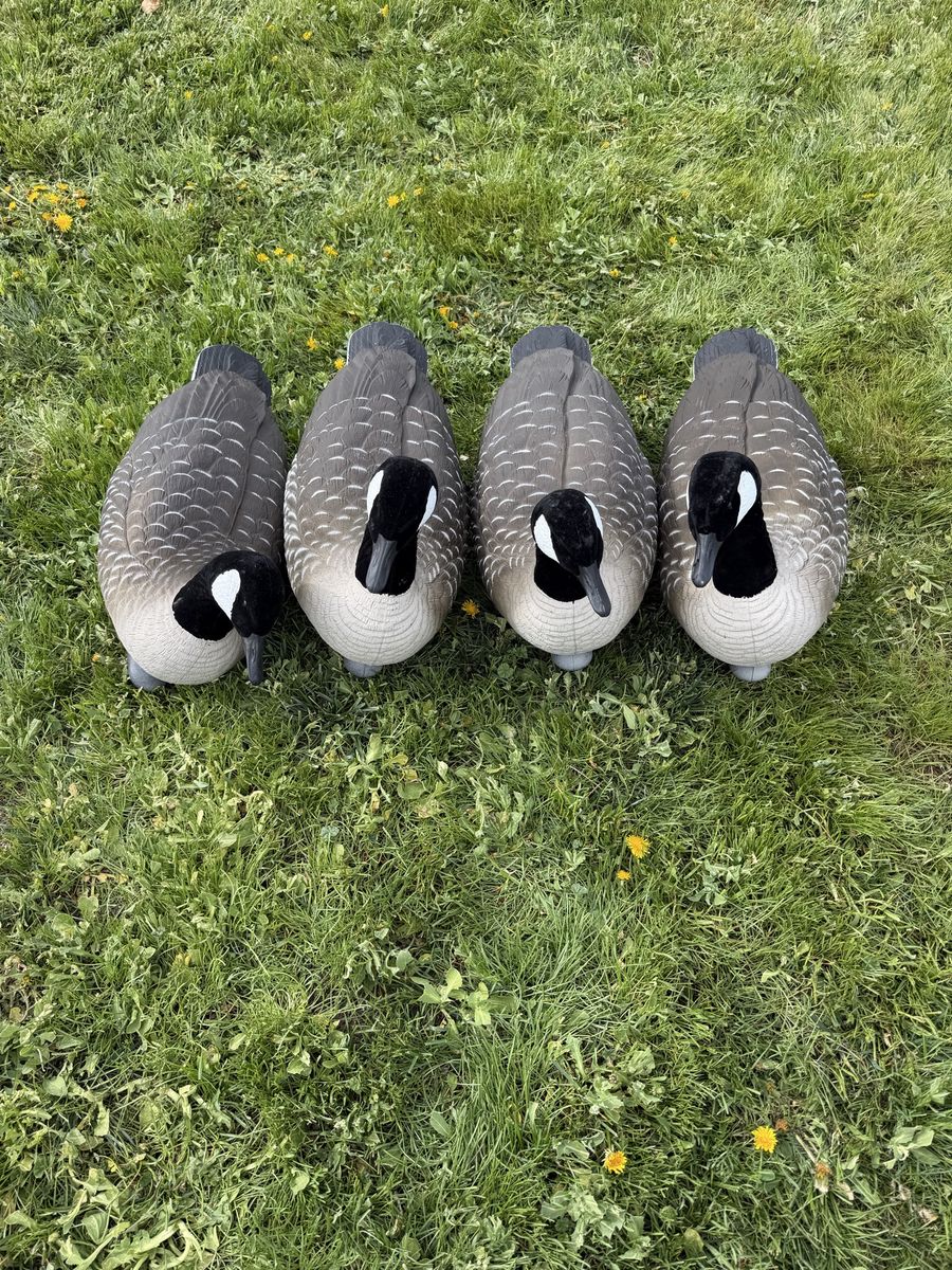 Northern Flight Goose Floaters