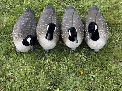 Northern Flight Goose Floaters
