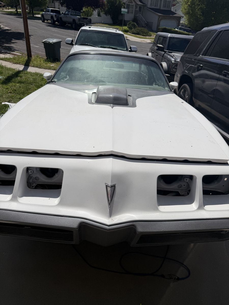 1980 Pontiac Firebird Trans Am