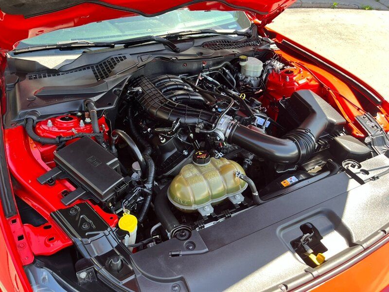 Main image 33