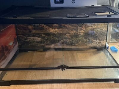 Reptile Set up