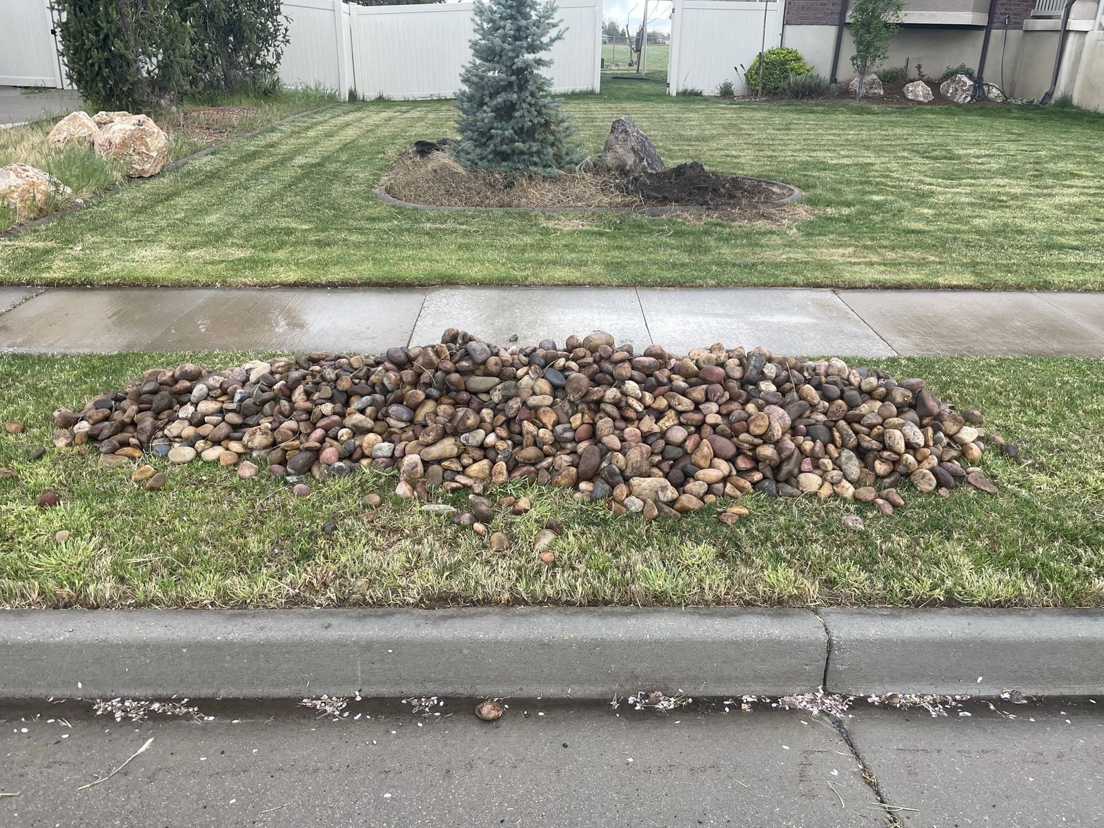 Free River Rock 2-4"