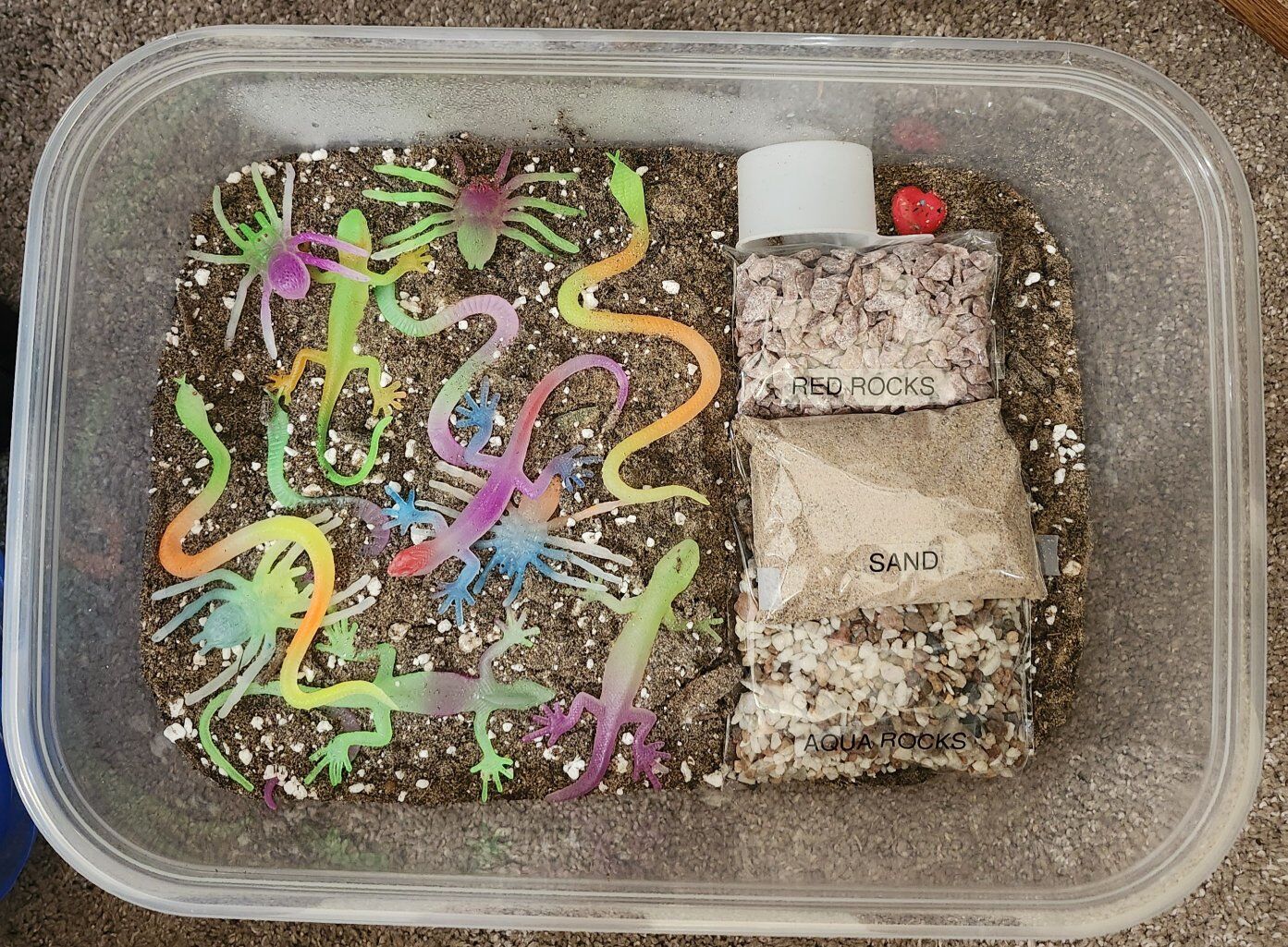 Dirt Bucket for Sensory Play - Bugs & Reptiles