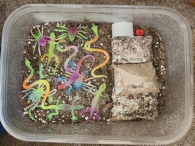 Dirt Bucket for Sensory Play - Bugs & Reptiles