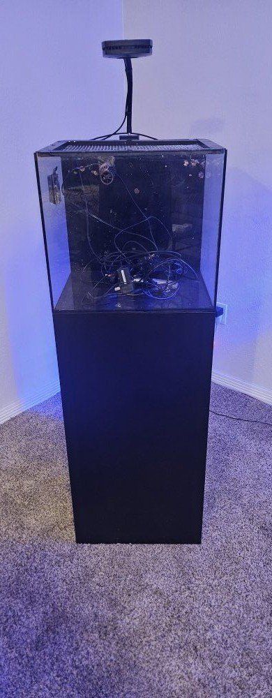 waterbox 20g aquarium