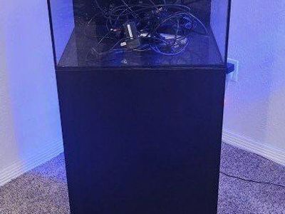 waterbox 20g aquarium