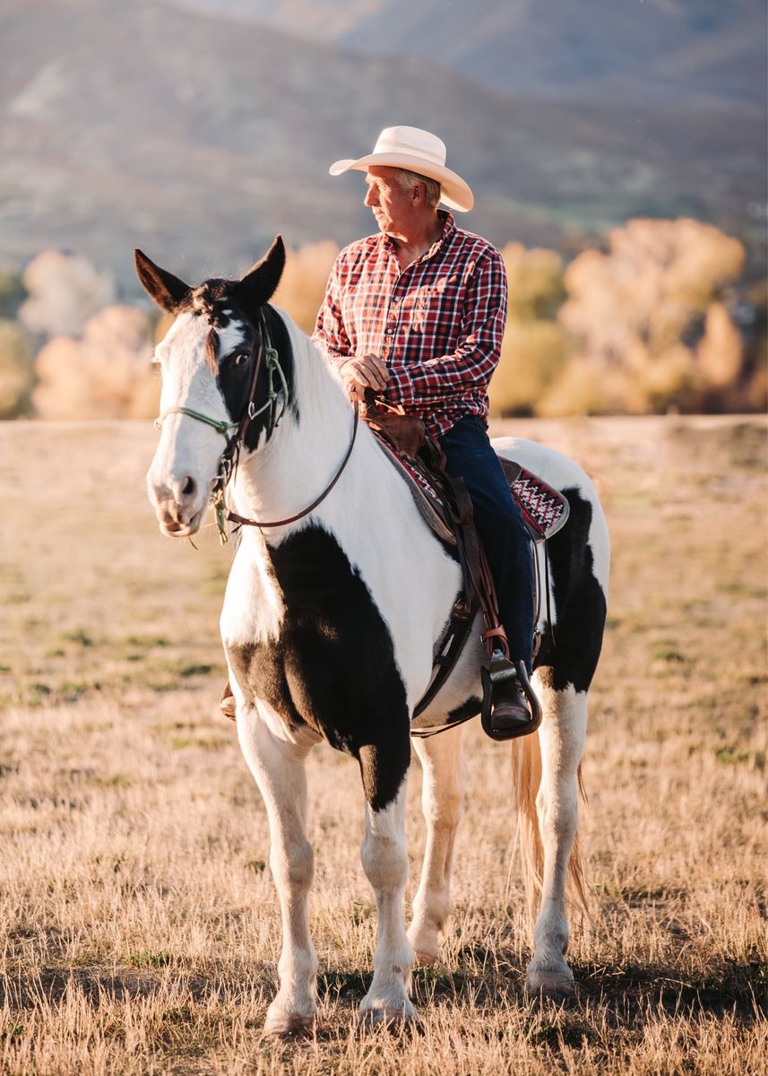 Flashy 11yr old Spotted Draft Mare