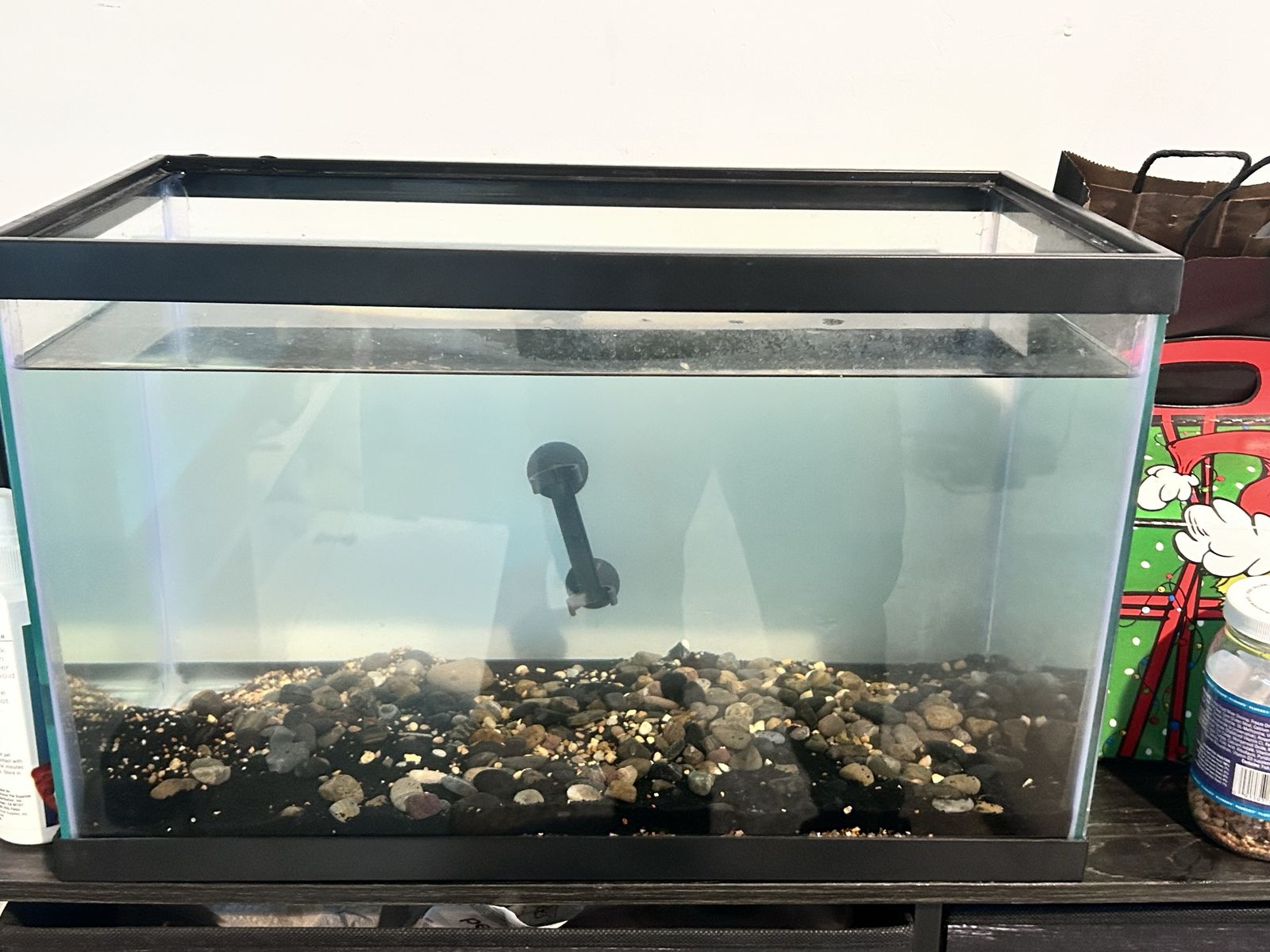 Glass Aquarium Fish Tank with Substrate and Thrive Filter Cartridge Pack