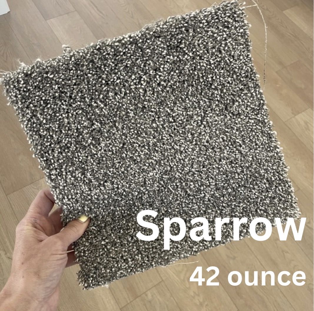 ON SALE- Nice, Neutral Carpet only $1.75/sq ft