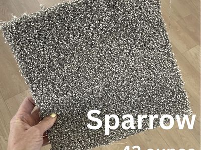ON SALE- Nice, Neutral Carpet only $1.75/sq ft