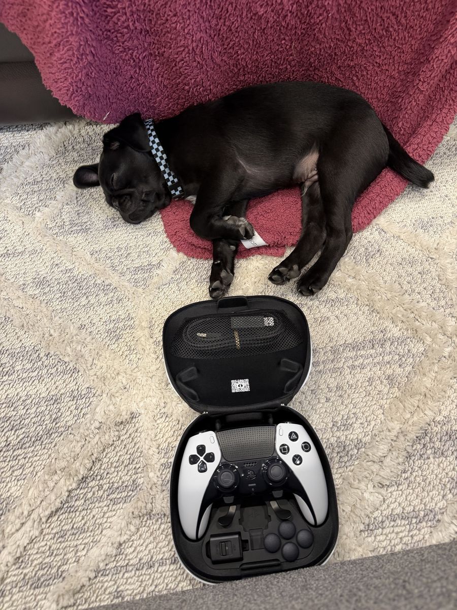 PlayStation pro controller