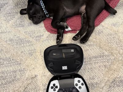 PlayStation pro controller