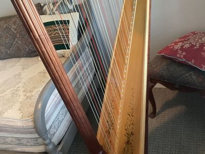 Lyon & Healy Prelude 40 lever harp