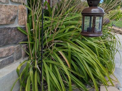 Set of 8 Small Brown Metal & Glass Decorative Hanging Lanterns for Candles