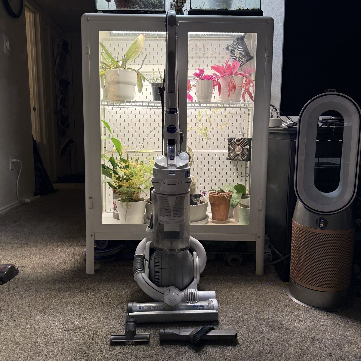 CLEAN Dyson dc25 vacuum