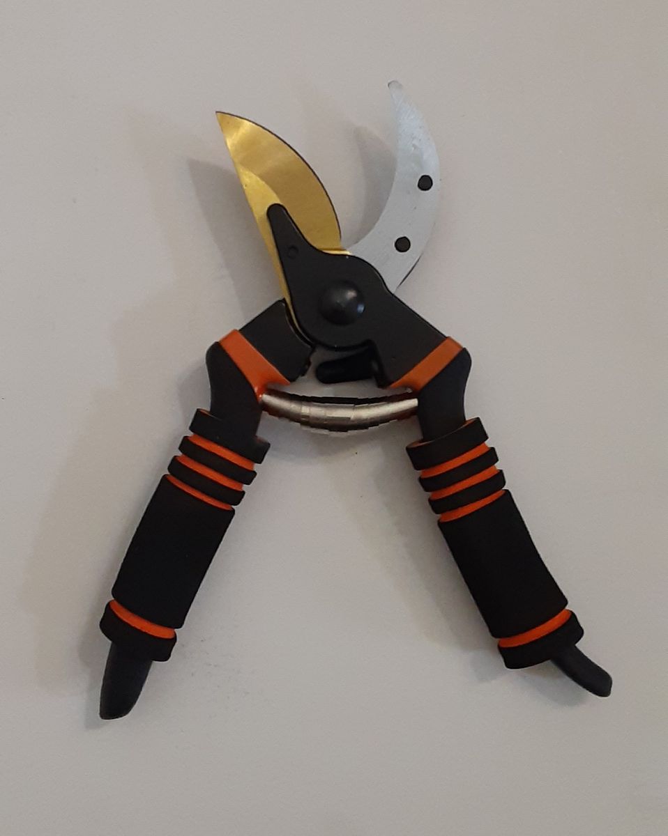 Main image 6