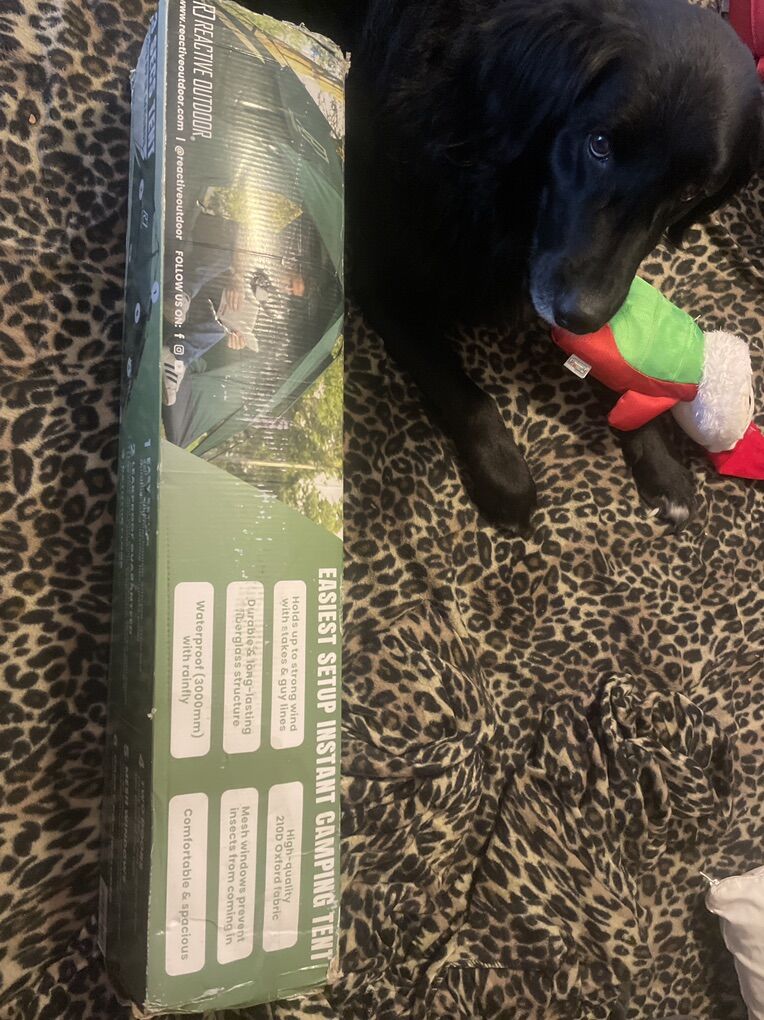 Reactive Outdoor.Com Three Second Tent