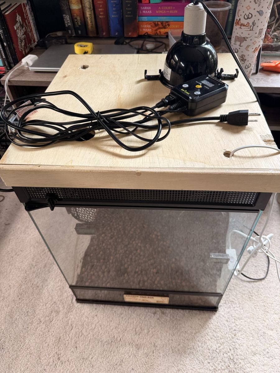 Main image 4