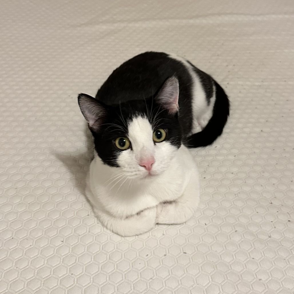 Hello my name is Tex