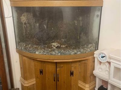 vivarium