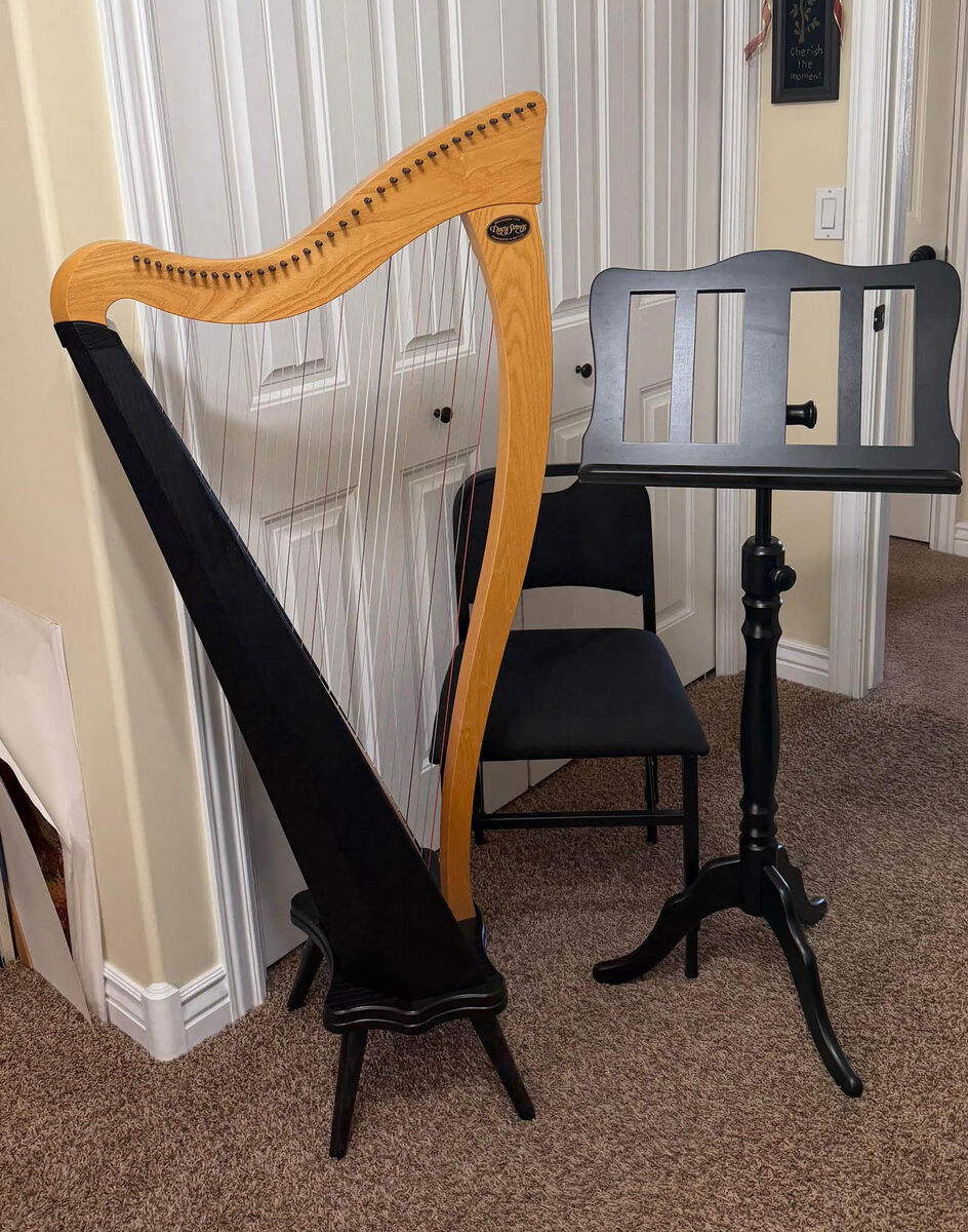 Dusty Strings Ravenna 34 strings harp