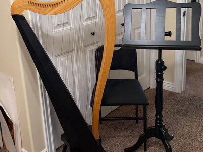 Dusty Strings Ravenna 34 strings harp