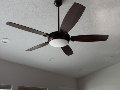 Ceiling Fan
