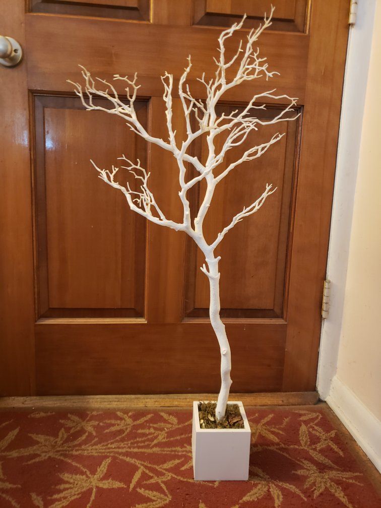 Small White Tree