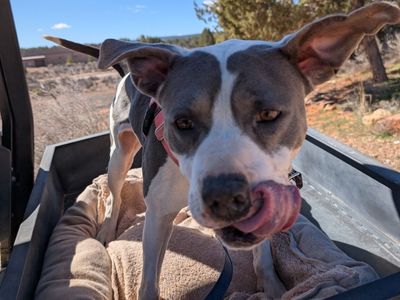 Hello my name is Joplin