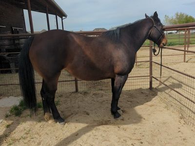Grade Mare OBO