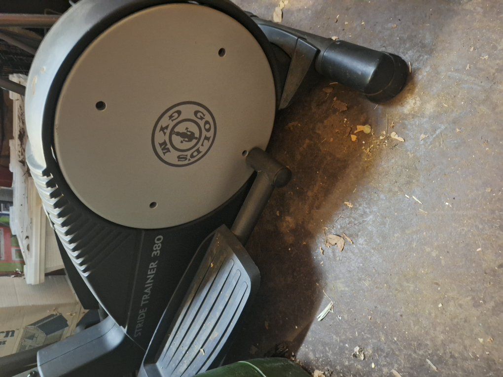 golds gym stride trainer 380