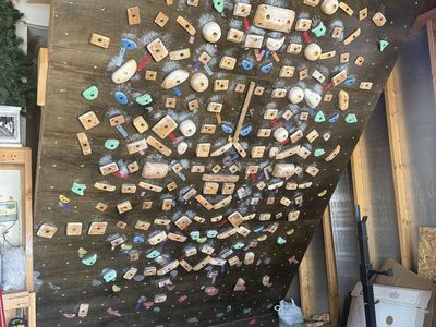 Climbing Wall 10.5 feet tall x 8 feet wide