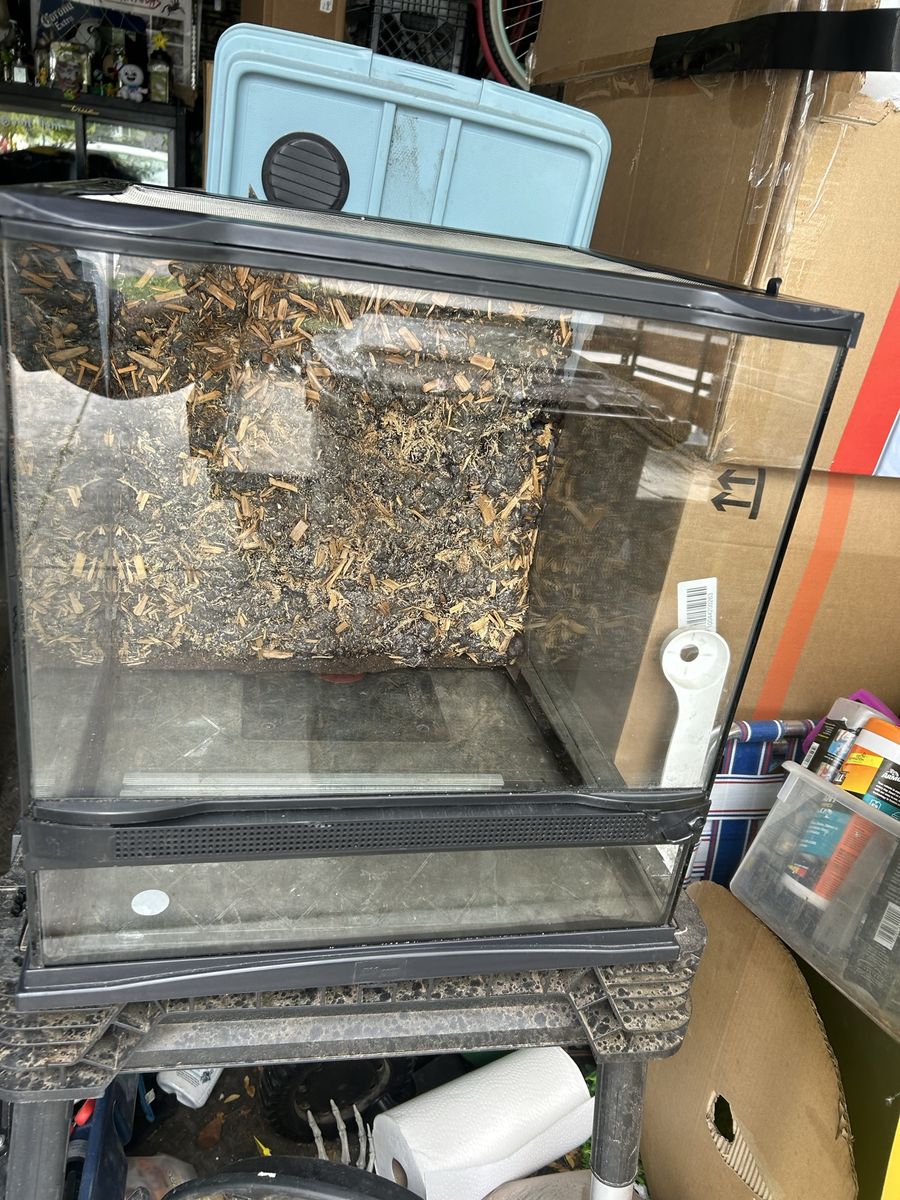 Zoomed tank